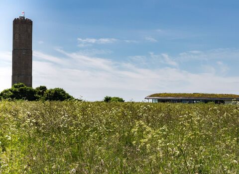 Essex Wildlife Trust The Naze Nature Discovery Centre