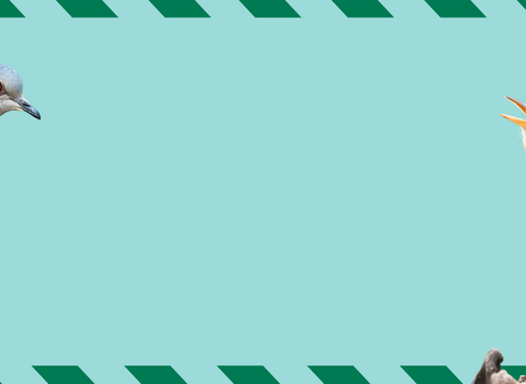 Wrabness appeal with turtle dove and nightingale