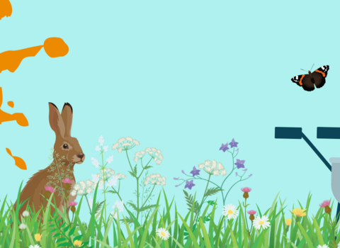 Half price membership offer graphic banner