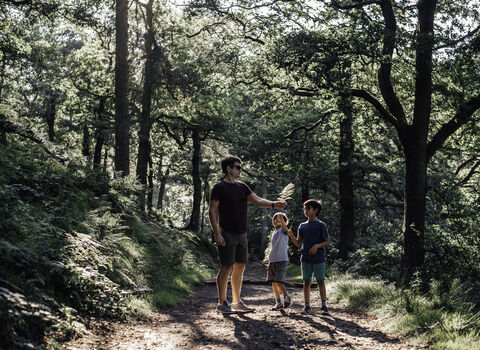 Adult and two children walking through a woodland 