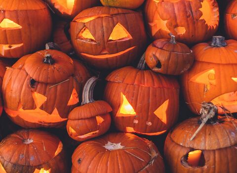 Pumpkin Faces